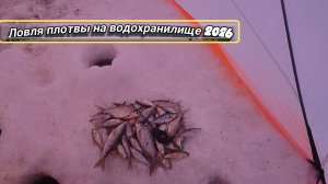 Зимняя Рыбалка 2026 . Ловля плотвы на водохранилище