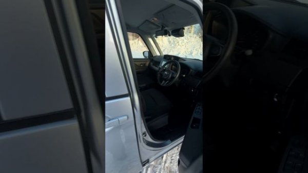 Roomy - Крепыш