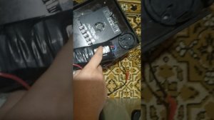 обзор на холодильник с40 алпикоол