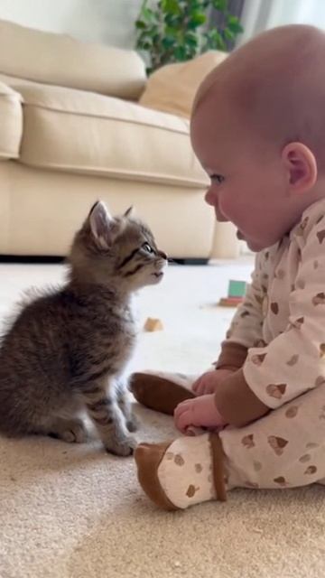 Дискуссия смотреть онлайн