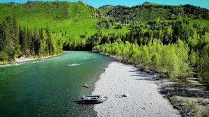 Самая красивая река Алтая, а может и России. О такой рыбалке мечтает каждый рыбак! Взял подписчика..