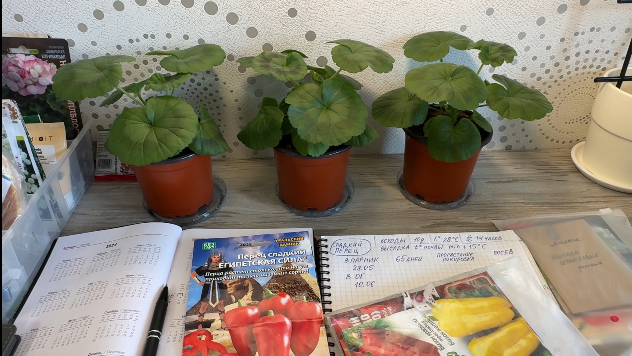 ПЕРЕЦ и ТОМАТЫ. Точные сроки посева как рассчитать самостоятельно. смотреть онлайн