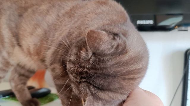 Ириска смотреть онлайн