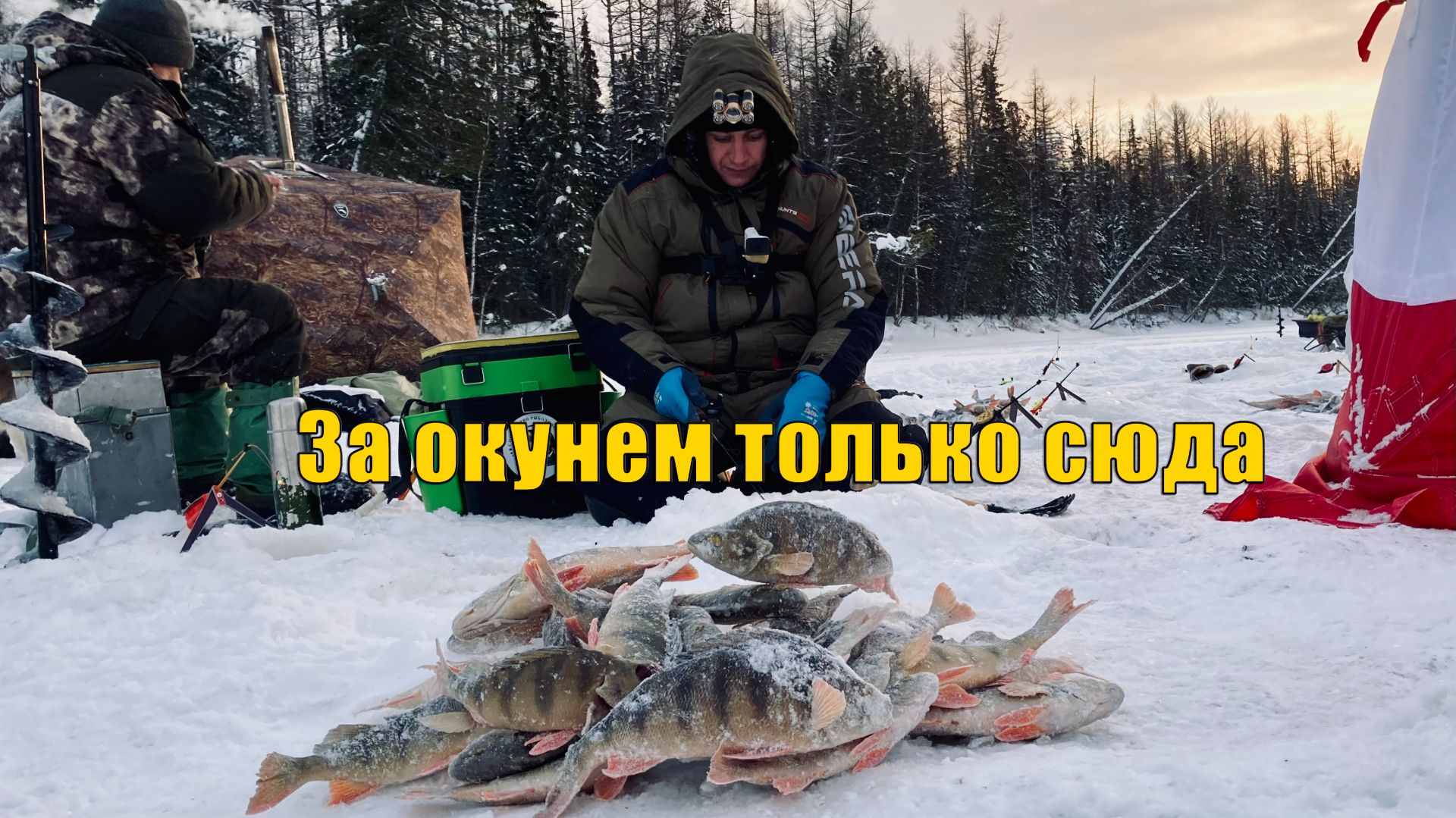 В этом месте полно крупного окуня. Зимняя рыбалка 2022. смотреть онлайн