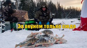 В этом месте полно крупного окуня. Зимняя рыбалка 2022.