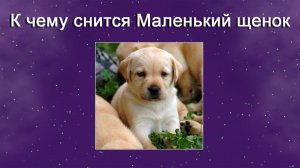 К чему снится Маленький щенок (Сонник)