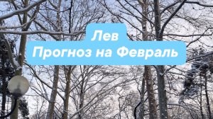 Лев ♌️Февраль,что ожидает #2026