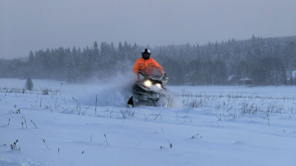 Лайт покатушка на снегоходах Stels Viking