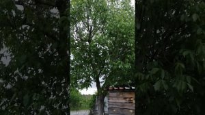 Дом СОНТ Колос, Анапа