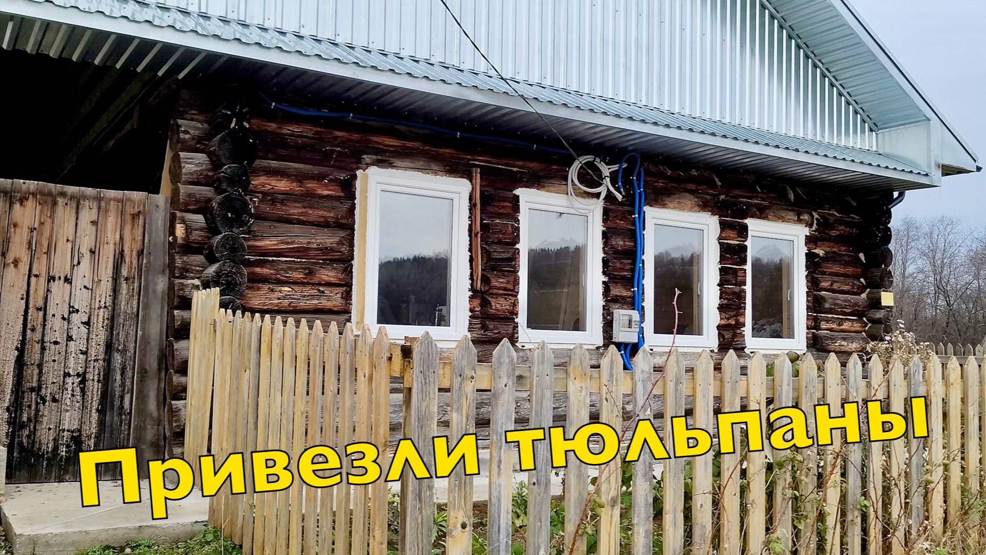 Приехали в деревню | Привезли тюльпаны | Как сажают тюльпаны | Работа в деревне | Дали воду в дом! смотреть онлайн