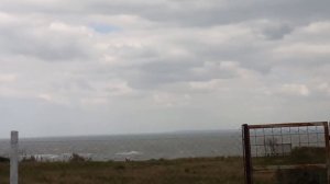 Ветрено. Май 2024 года