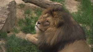 Зоопарк Ташкент