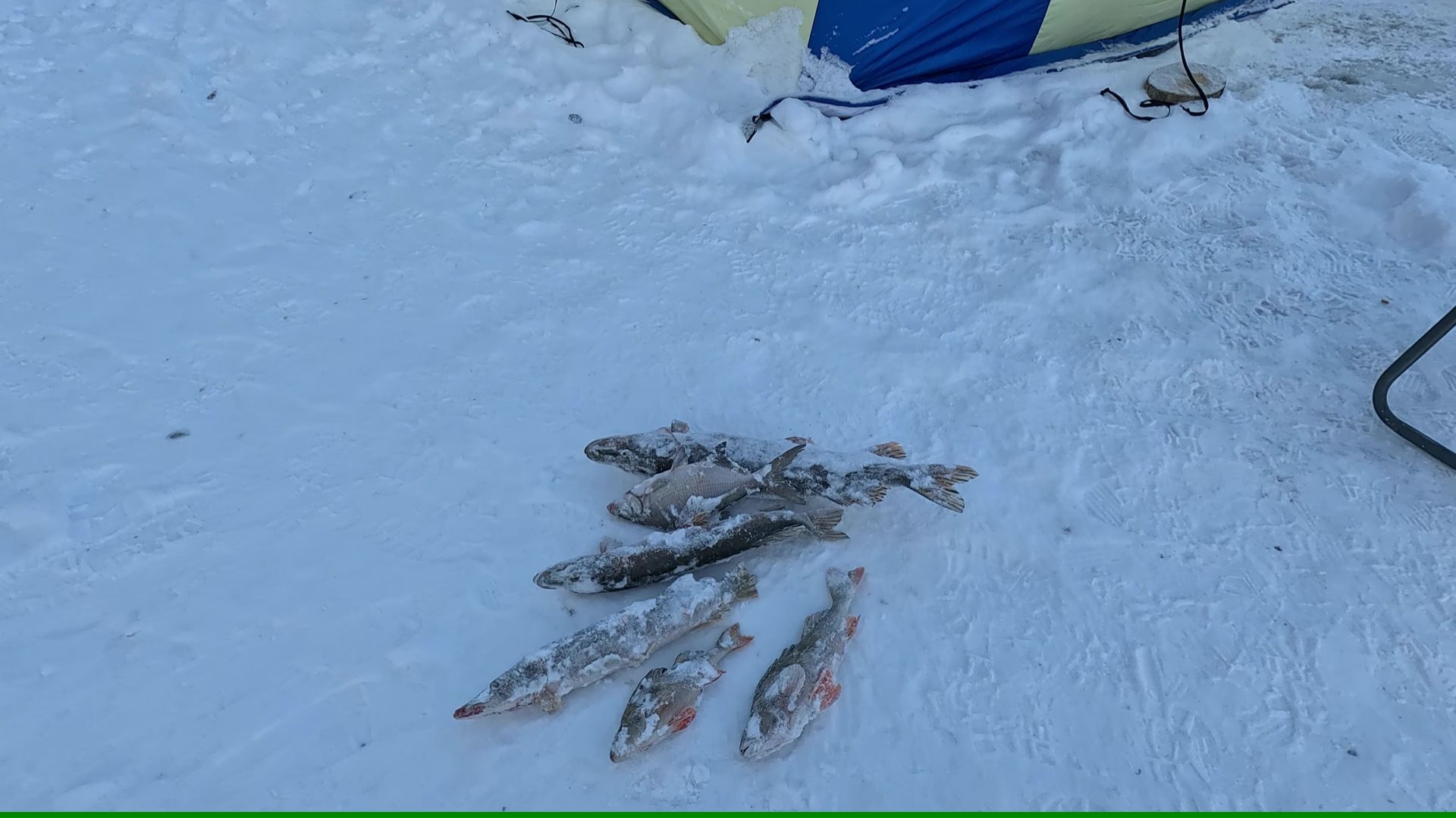 РЫБАЛКА ЛУГОВОЕ Алтайский край смотреть онлайн