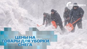 Аномальные снегопады подняли спрос на товары для уборки снега. Сколько теперь стоят лопаты?