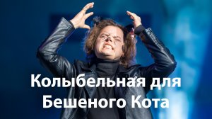 Колыбельная для Бешеного Кота (2026)