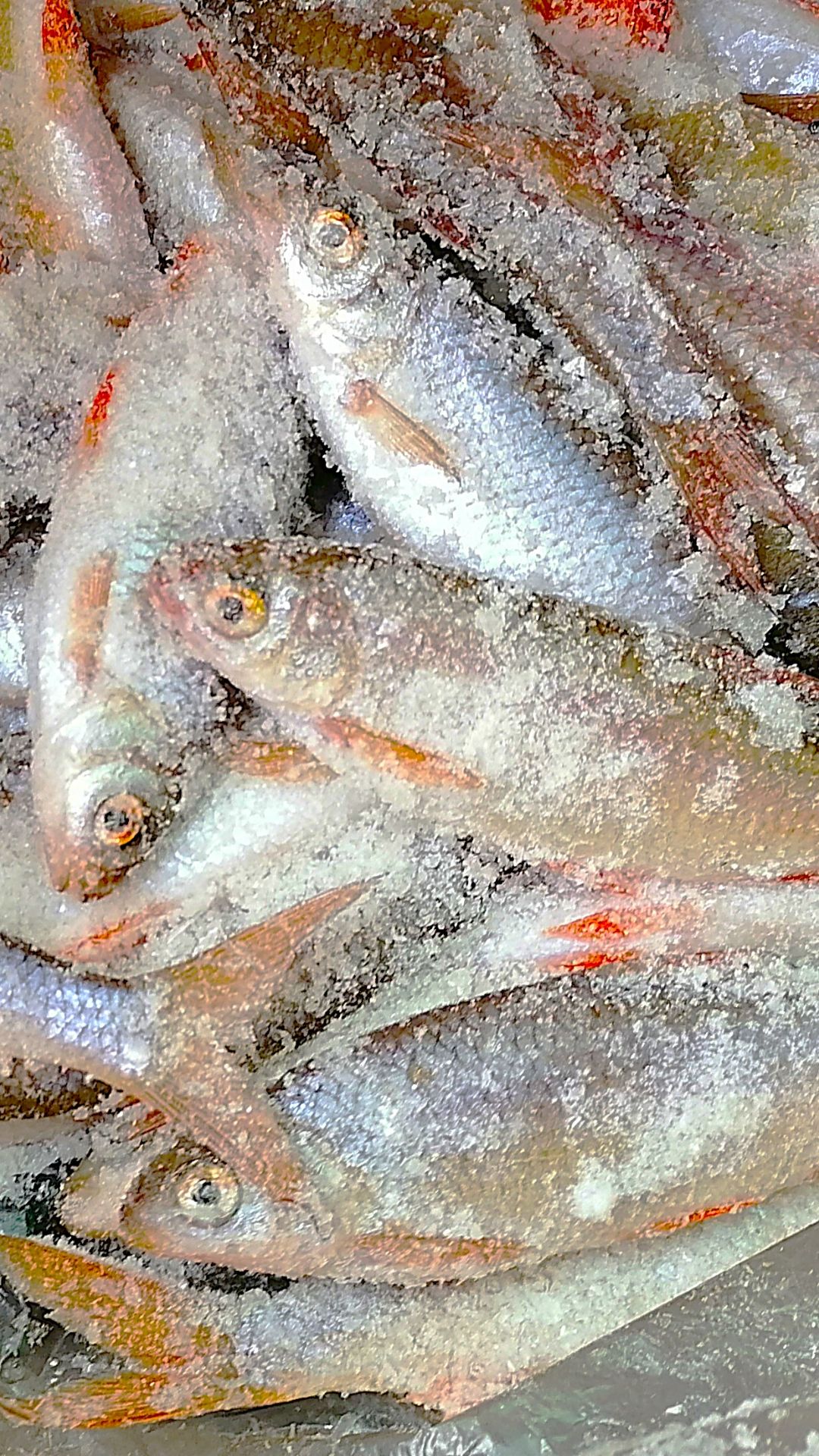 Рыбалка в глухозимье. Рыбу нашли смотреть онлайн