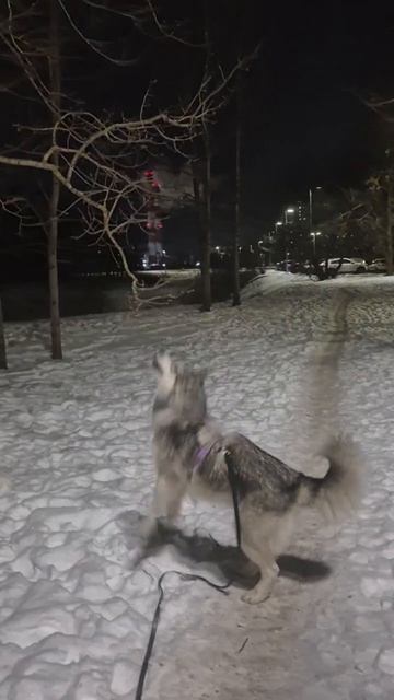 Что там хочет достать смотреть онлайн