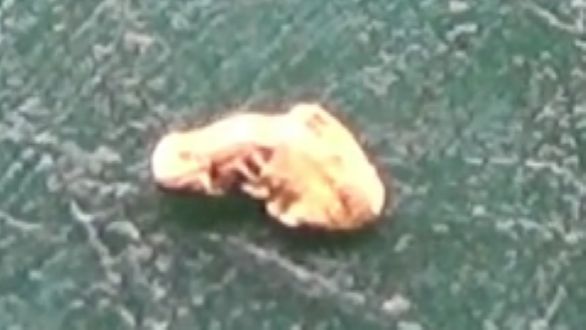 Разведка золотоносного ручья! Золотая россыпь! смотреть онлайн