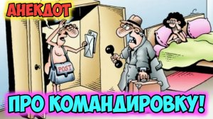 Анекдот про командировку.