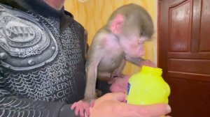 Когда на твоей голове сидит ГАМАДРИЛ ЛЮСЯ пускать мыльные пузыри очень тяжело)))