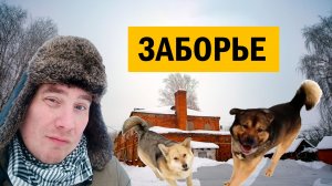 Заборье: дом скульптора, собаки и заброшенный парк