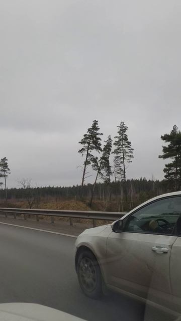 М5 на Москву после Луховиц. 06 декабря 2025 года.