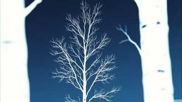 Белая береза