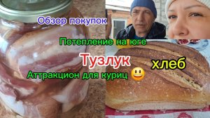 25-01-2026 Переехали из Сибири на юг/Купили дом на юге/Поездка в центр/Обзор покупок/Аттракцион 🐓