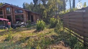 Дом из профилированного бруса естественной влажности спустя 3 года.Все пропало. Дом рухнул.