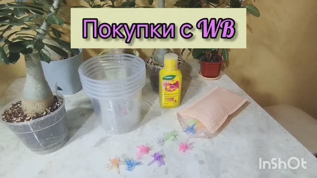 📢Полезные находки среди товаров для цветов с WB.🔥🔥🔥