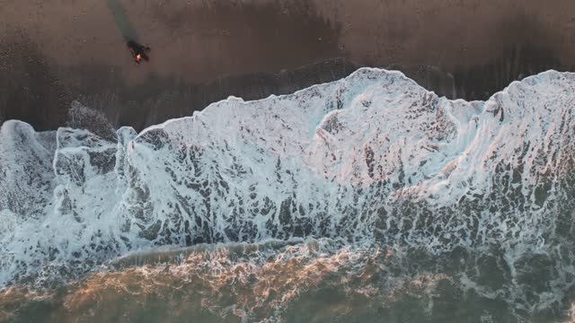 Вечнозеленое дыхание Абхазии. The Evergreen Breath Of Abkhazia