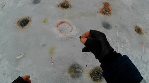 Рыбалка в станице Курской.