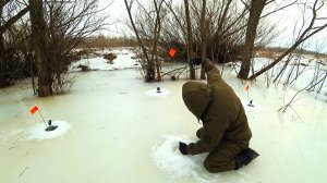 КАК ТАКОЕ ПРОИЗОШЛО! ОСТАВИЛ ЖЕРЛИЦЫ НА НОЧЬ И НЕ ПОВЕРИЛ ГЛАЗАМ. Удачная рыбалка.