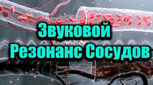 Секрет Чистых Сосудов: 5 минут в день для лёгкости и здоровья