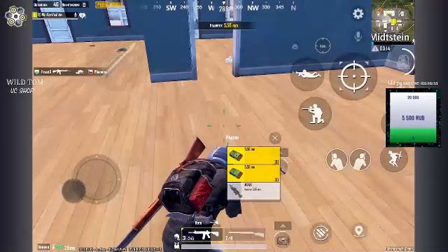 LIVE: WildTom_YouTube