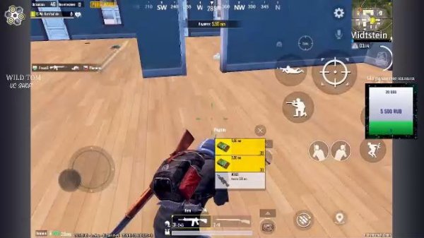 LIVE: WildTom_YouTube