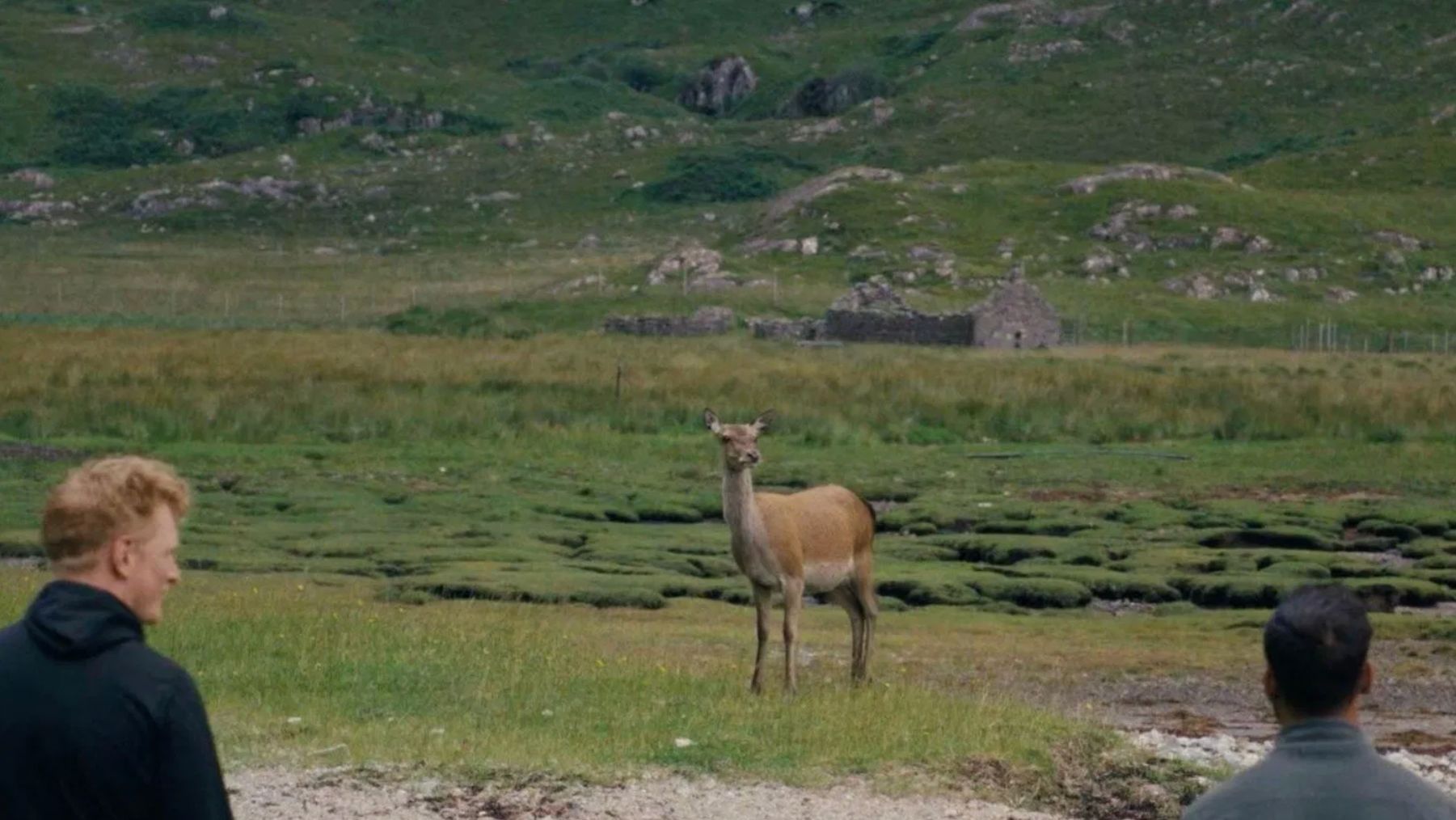 Север (2025) / The North