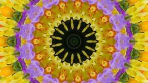 ЦВЕТОЧНАЯ ФАНТАСМАГОРИЯ