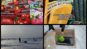 Вода из ПРОРУБИ.ЛЕДОВАЯ дорога.Опять семена.