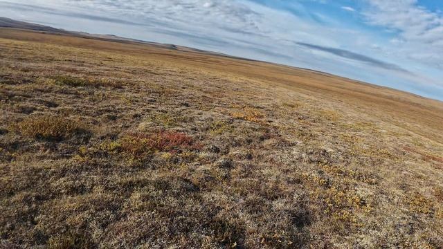 ОХОТА НА ДИКОГО ОЛЕНЯ В СЕВЕРНОЙ ЯКУТИИ 2025 смотреть онлайн