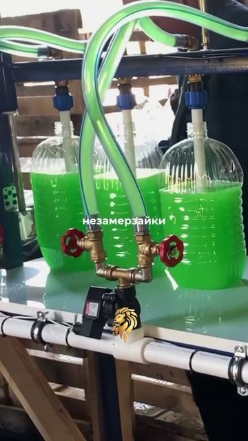 Цель за целю