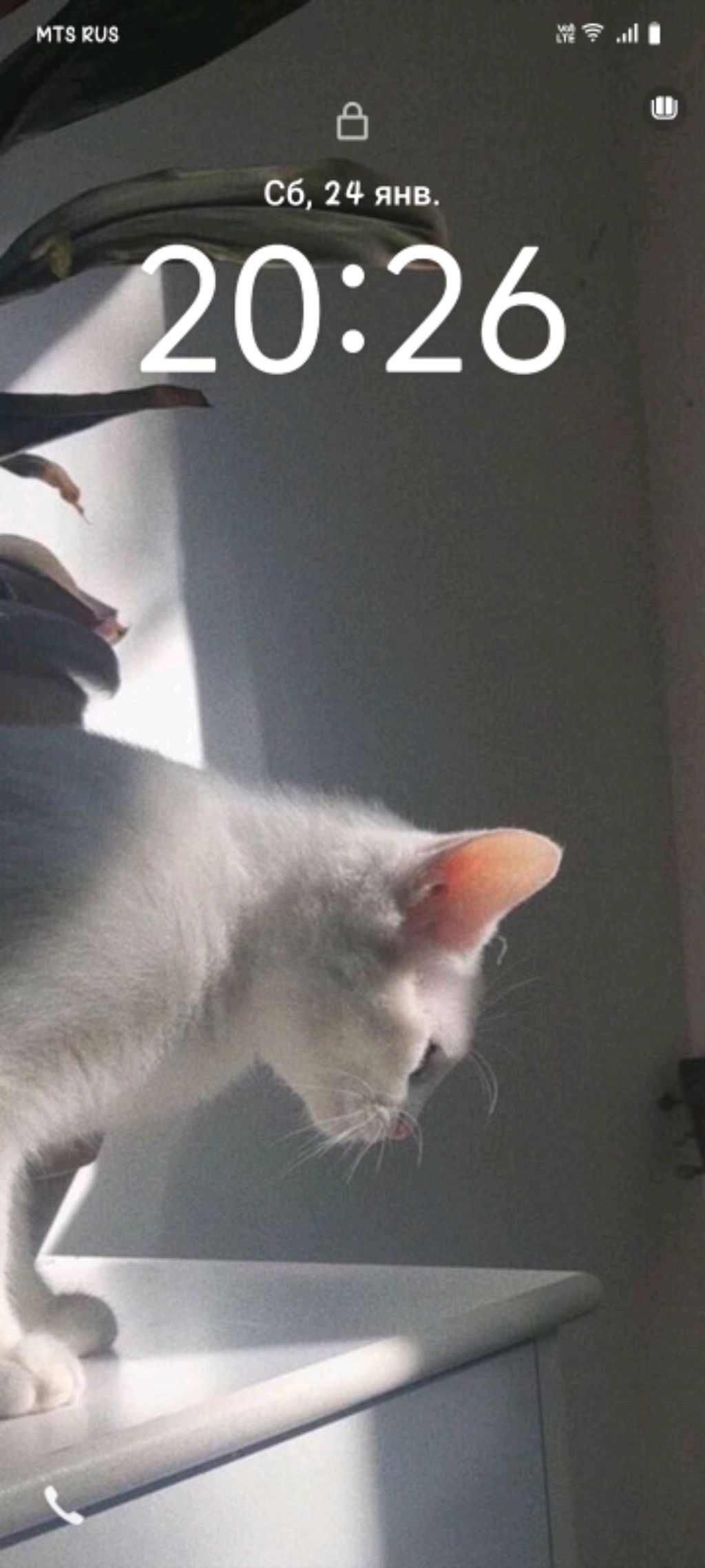 Ксюня смотреть онлайн