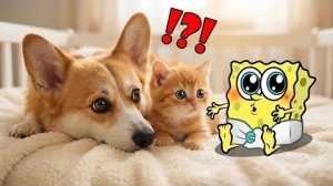 Мультики для детей. Яркие Мультики  . Детские мультики для малышей смотреть