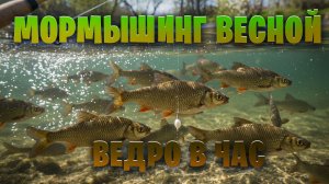 Мормышинг Весной ! ВЕДРО РЫБЫ в час, плотва не дает прохода...