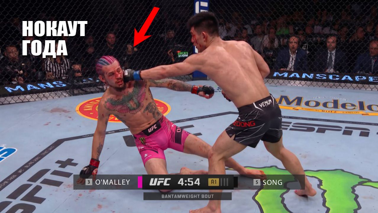 НОКАУТ С 1 УДАРА! Полный Бой Шон О'Мэлли VS Сонг Ядонг UFC 324 СМОТРЕТЬ ПРЯМОЙ ЭФИР ЮФС смотреть онлайн