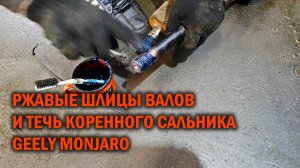 Ржавые шлицы валов и течь коренного сальника у Geely Monjaro - Автотехцентр SoundSpeed
