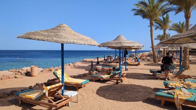 Египет. Шарм-эль-Шейх. Отель Renaissance Sharm El Sheikh Golden View Beach Resort. Красное море