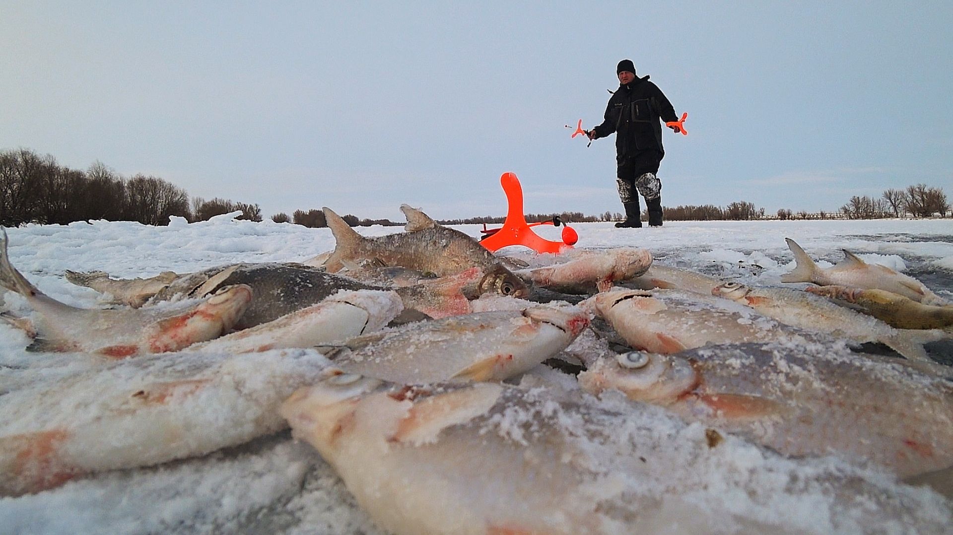 ЭТА УДОЧКА ЛОВИТ ВСЮ РЫБУ. ЗИМНЯЯ РЫБАЛКА НА БОЛЬШОЙ РЕКЕ. НА АЭРОЛОДКЕ ЗИМОЙ смотреть онлайн