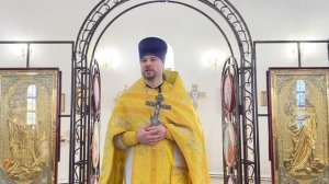 Проповедь в неделю 33-ю по Пятидесятнице .(25.01.2026).Протоиерей Димитрий Нестеренко.