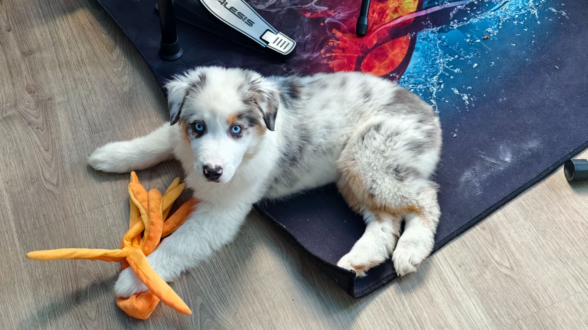 Тест снегоступов, камеры и ещё кое-кого смотреть онлайн